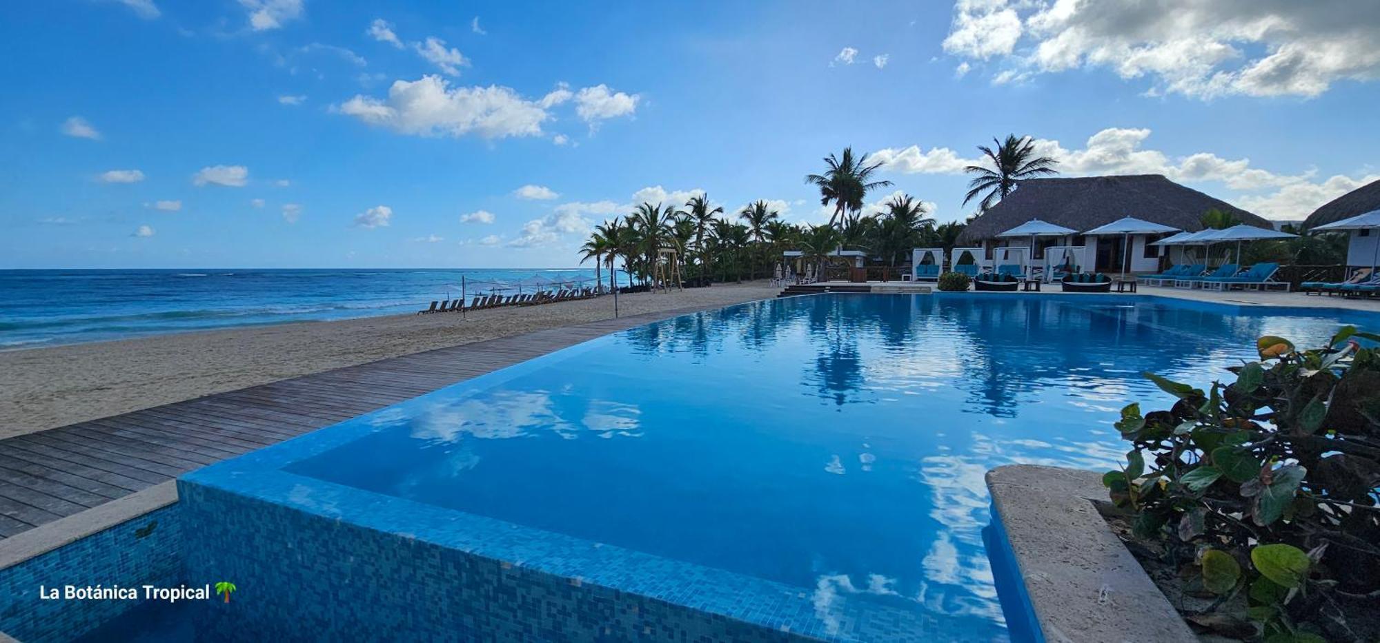 Unique And Quiet Apartments La Botanica Tropical Punta Cana Exterior photo